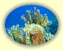 IMG_2007_05_29 14_21_05 * 3072 x 2304 * (910KB)